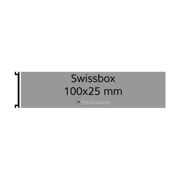 Swissbox, 100x25, Aluminium, Silber, Briefkastenschild, Gravur